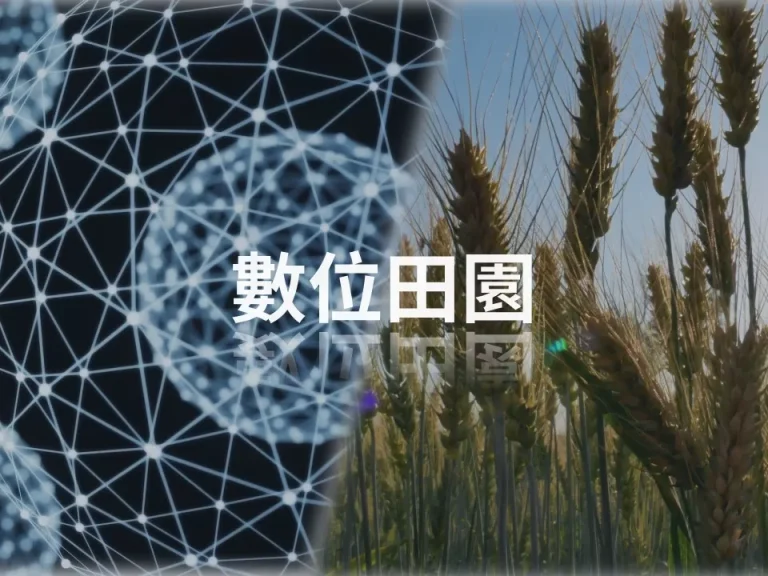 混淆視聽的「數位田園城市國家構想」