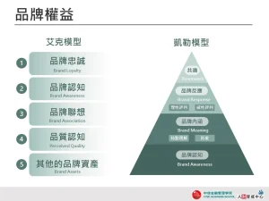 品牌權益 墨綠漸層 設計用板